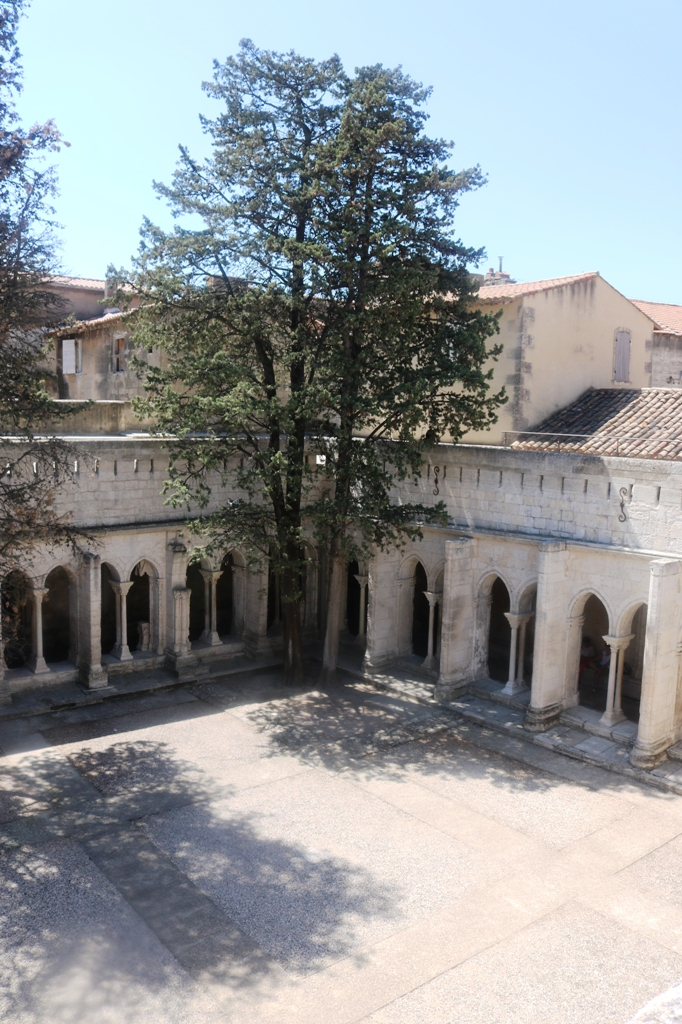 Premium poster Garden of Hospital in Arles